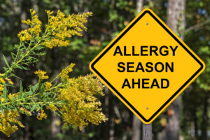 Read more about the article Fall Allergies