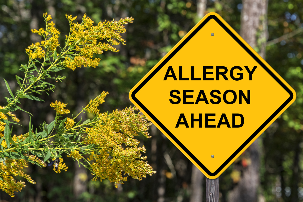 You are currently viewing Fall Allergies